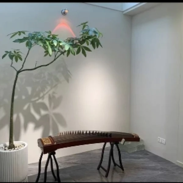 原生发财树单飘造型老桩意境高级氛围感奶油极简原木百搭净化空气