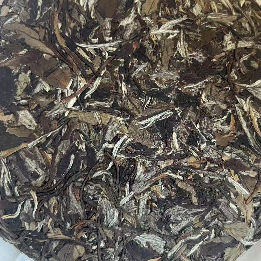 2010年铜盆山荒野牡丹王饼