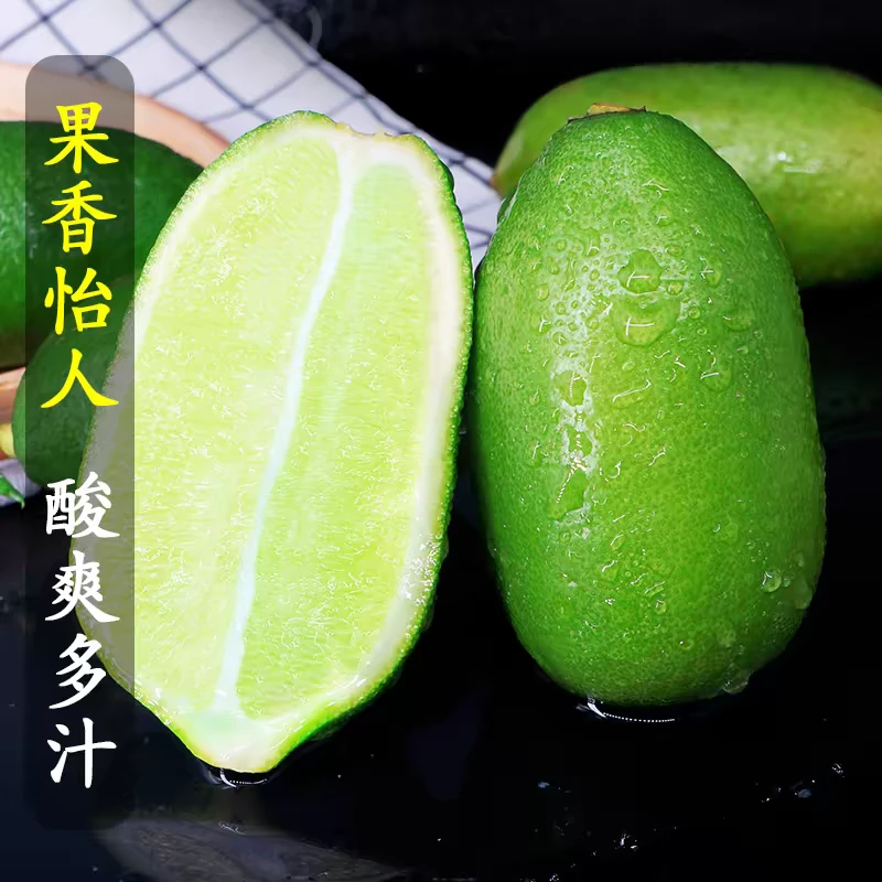 上海发海南香水柠檬水果果香子弹头无籽青柠檬果茶原料新鲜采摘3斤包邮