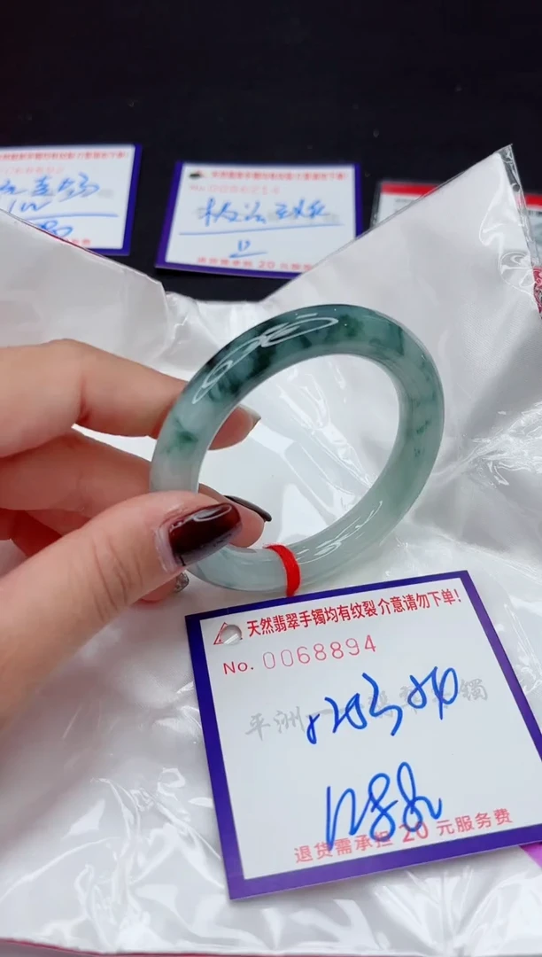 未镶嵌手镯翡翠1111111