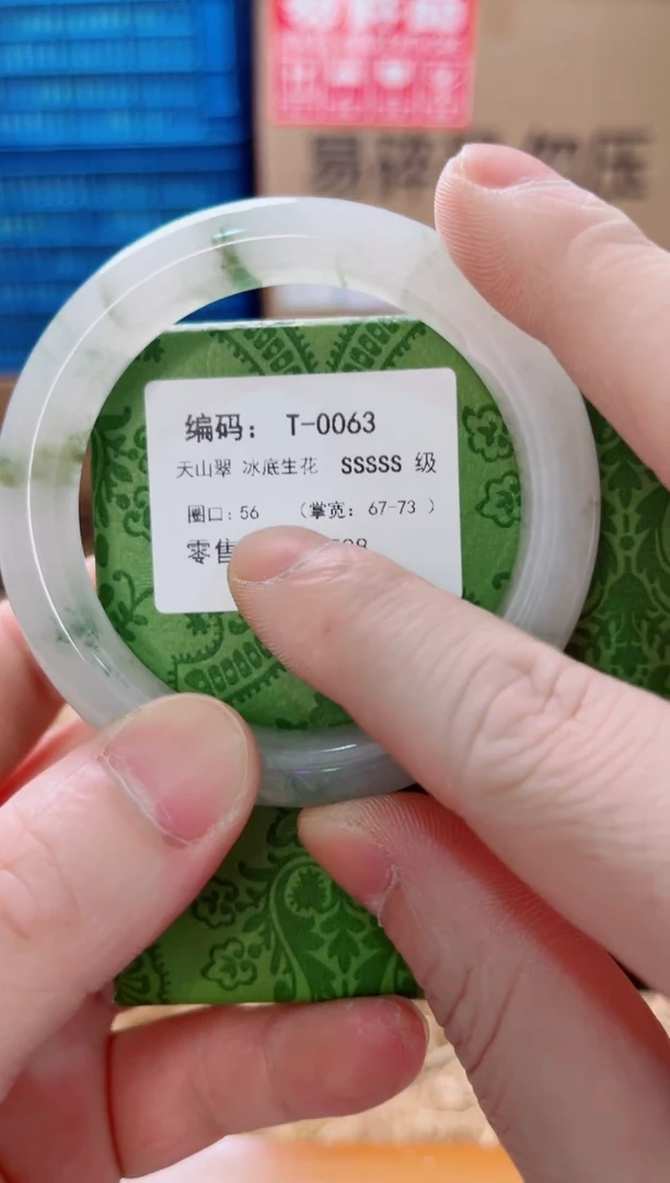 未镶嵌手镯石英质玉T-0063