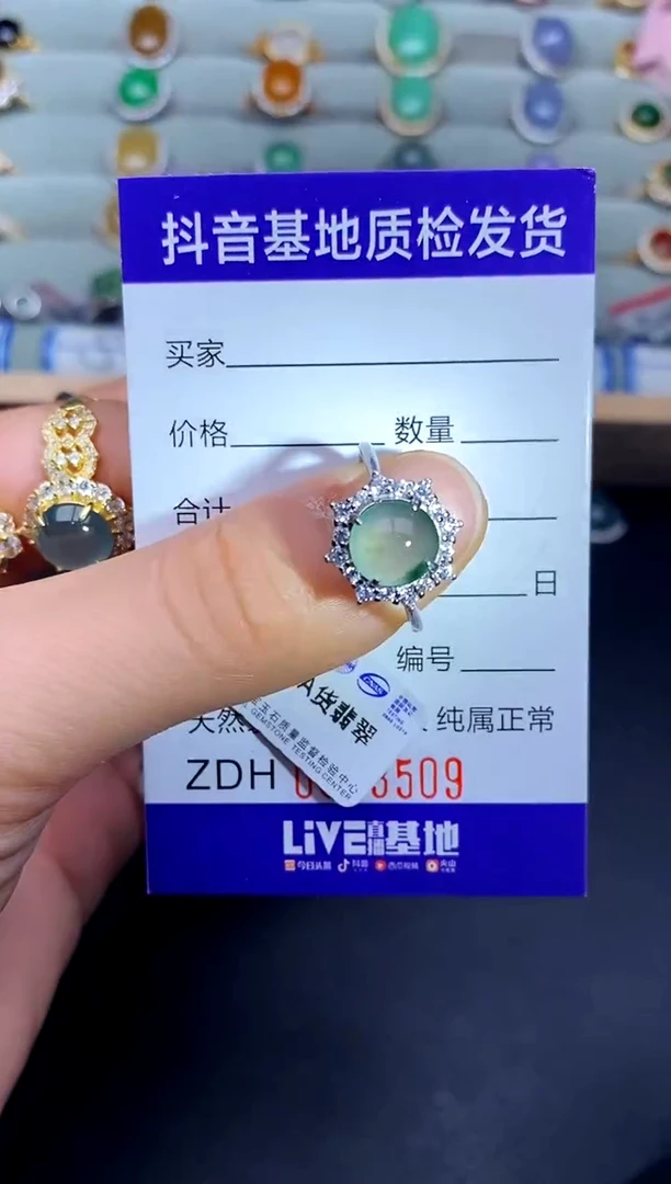 【闪购商品】翡翠戒指银S925镶嵌.............