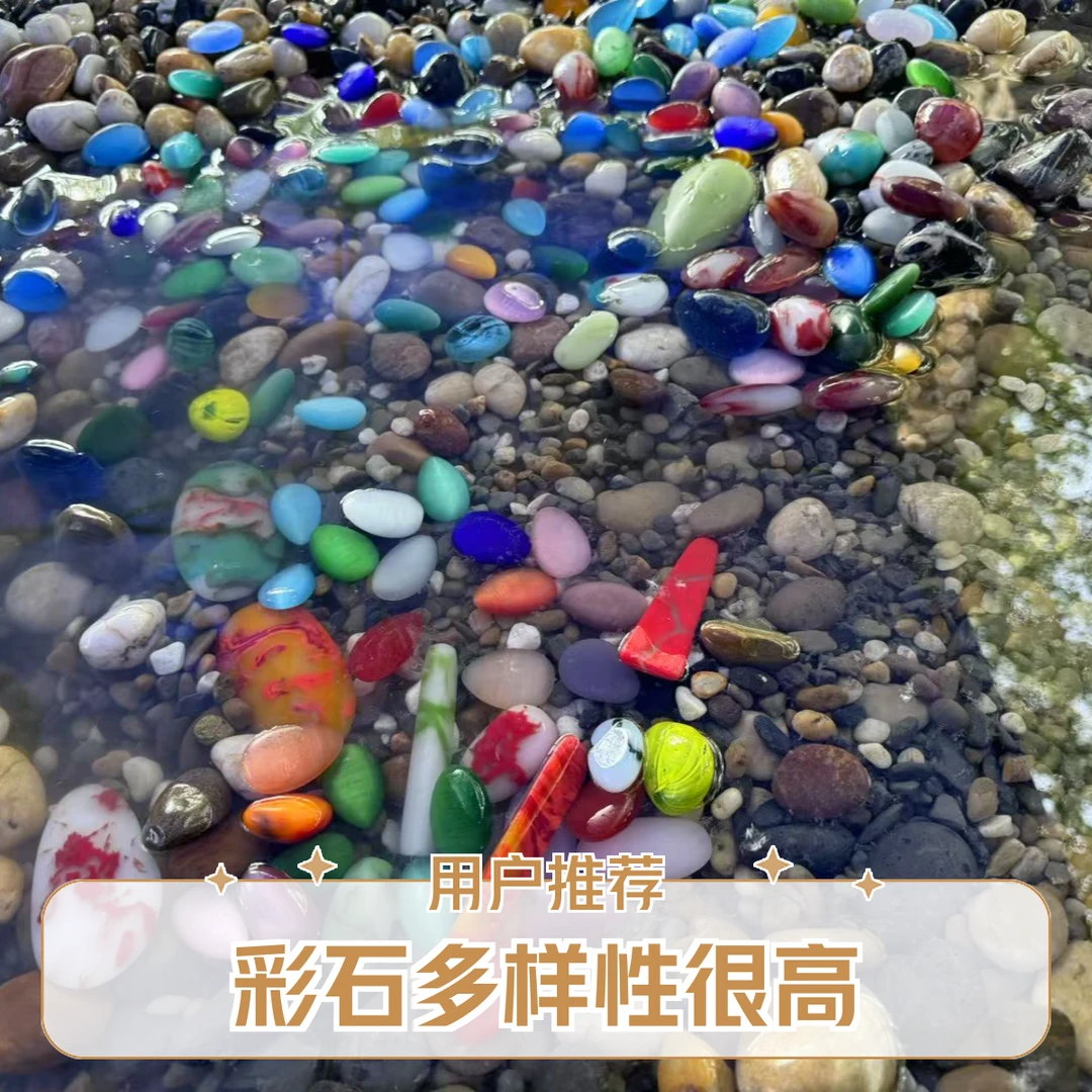 彩石奇石盆景石多样性