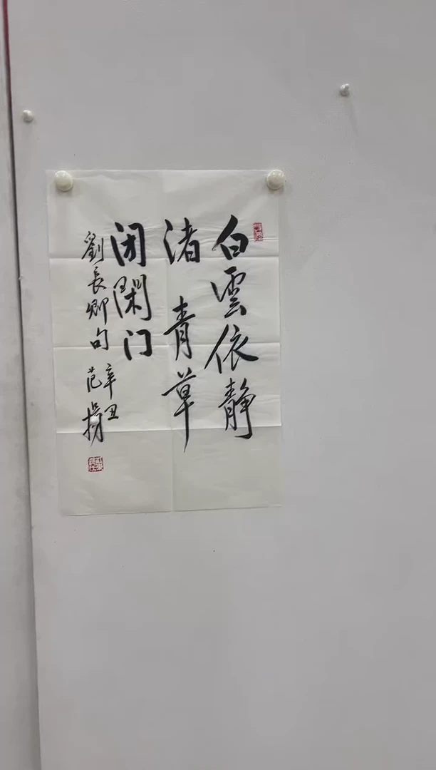 6-5-范老师2.7平尺书法作品装饰