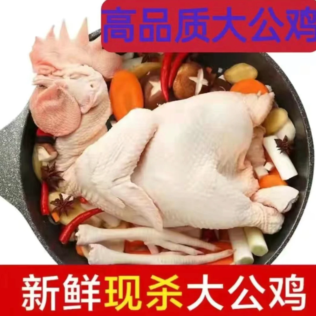 800天老公鸡8_斤正宗农家纯粮土鸡大公鸡现杀柴鸡笨鸡新鲜鸡肉ke