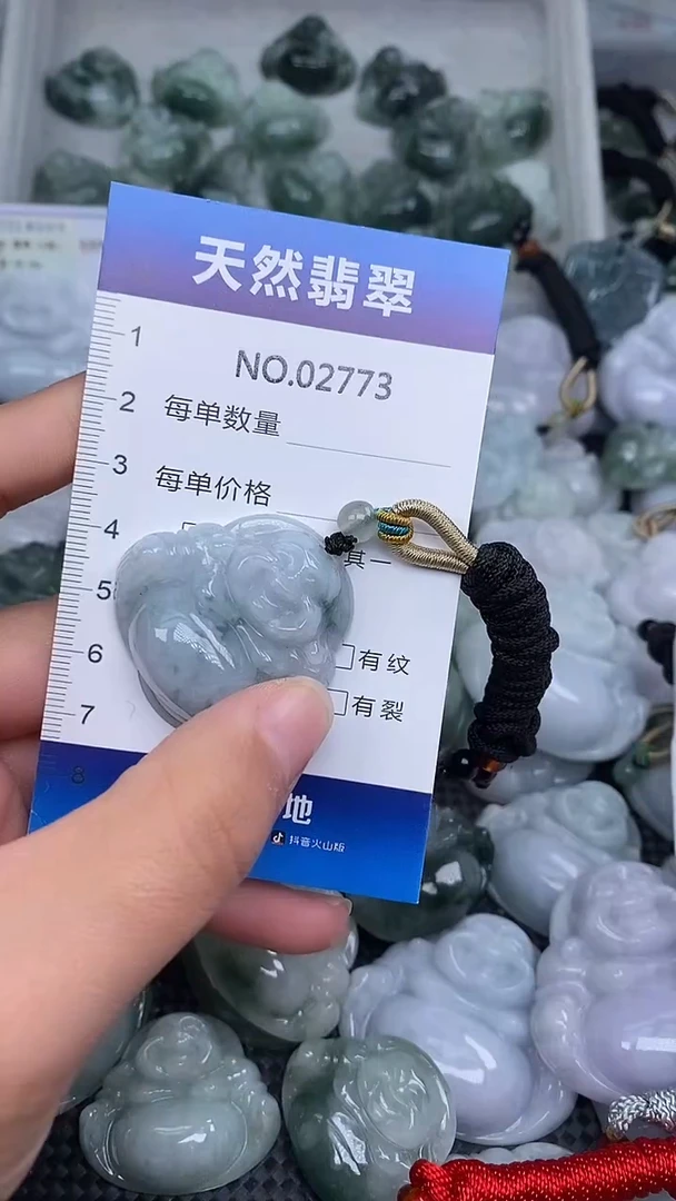 颈饰未镶嵌翡翠纯天然A货翡翠2773