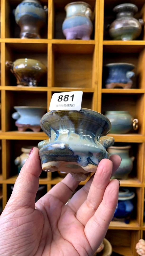 【闪购商品】陶881