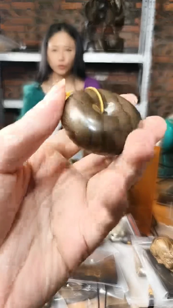 【闪购商品】金丝楠平安扣手把件