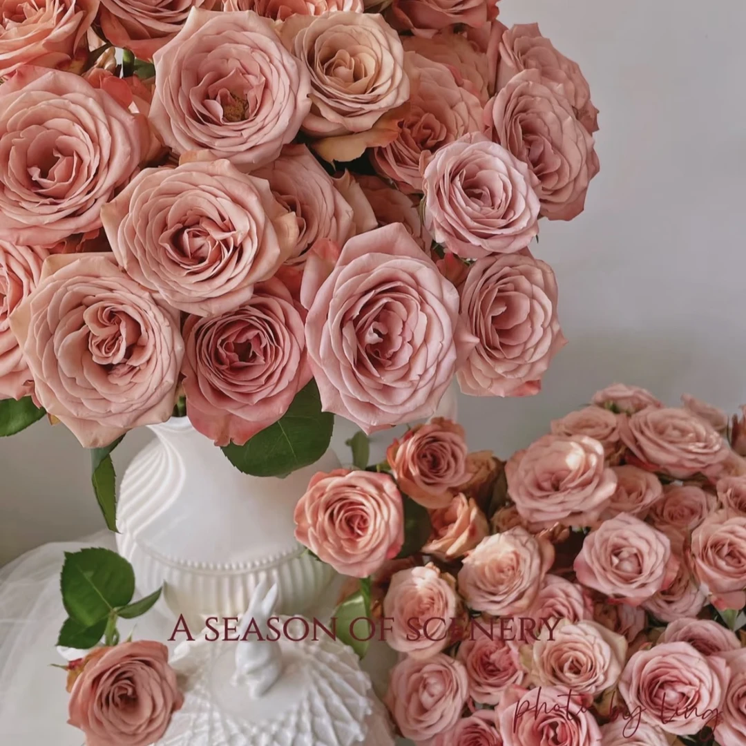 【卡布奇诺】多头玫瑰云南基地直发-全场鲜花任意满2单升级顺丰包邮