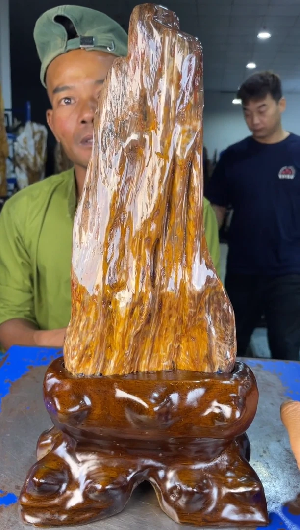 未镶嵌摆件硅化玉r13