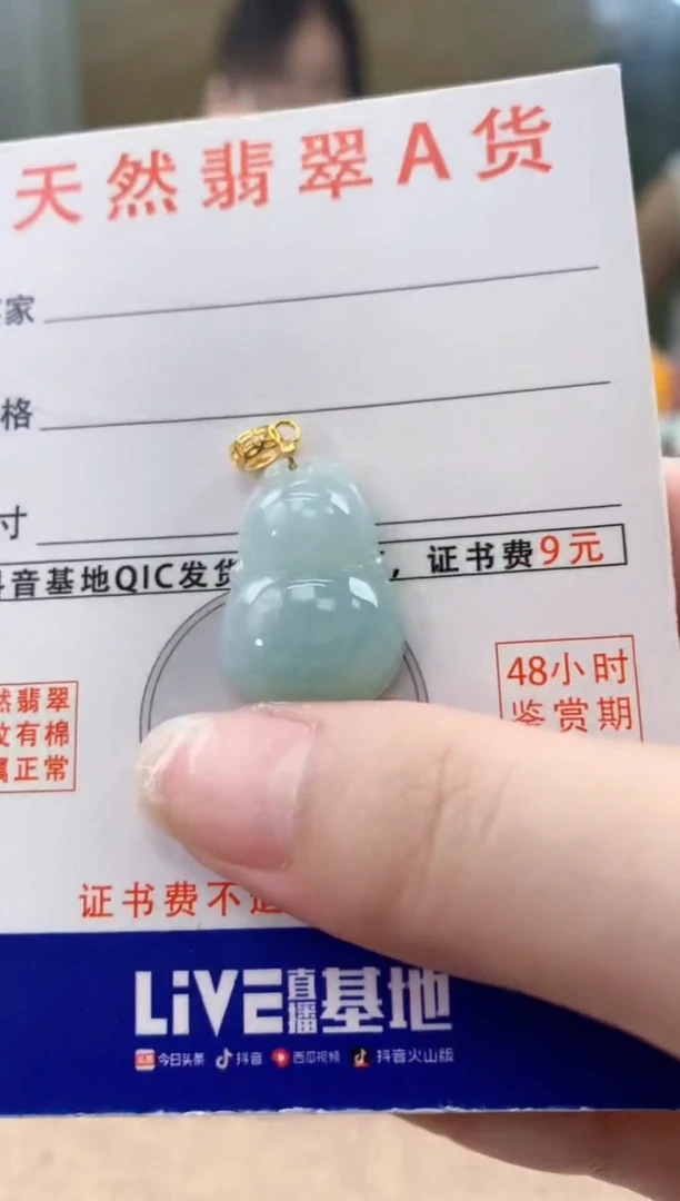 颈饰未镶嵌翡翠天然A货翡翠挂件