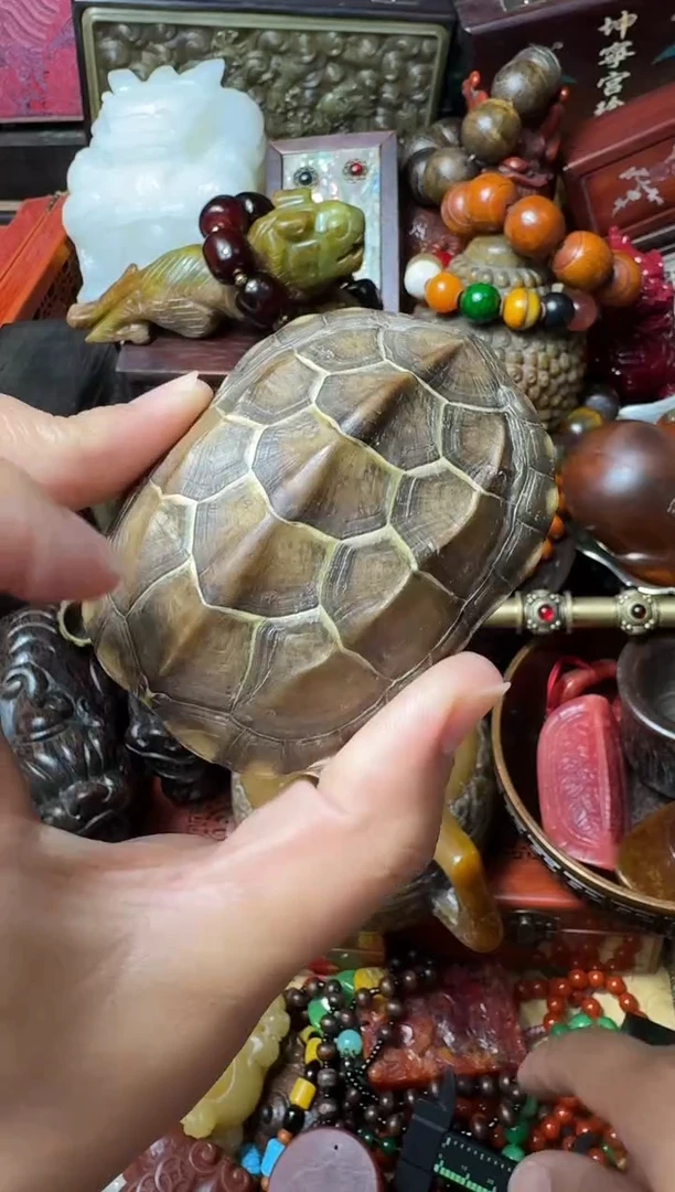 贝壳摆件主播推荐：一物一拍，讲解为准！