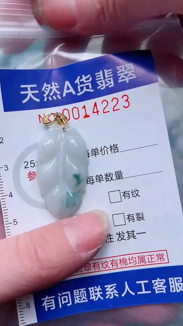 翡翠未镶嵌吊坠(赠链)1