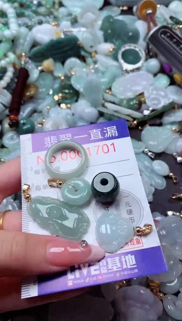 翡翠未镶嵌吊坠(不含链)1701