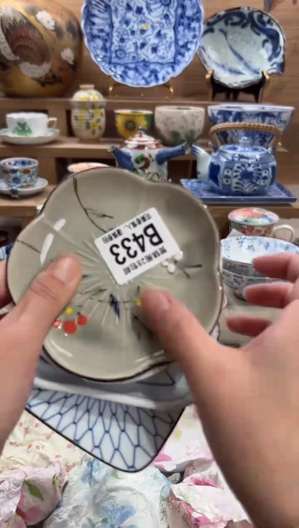 瓷片素*      B433