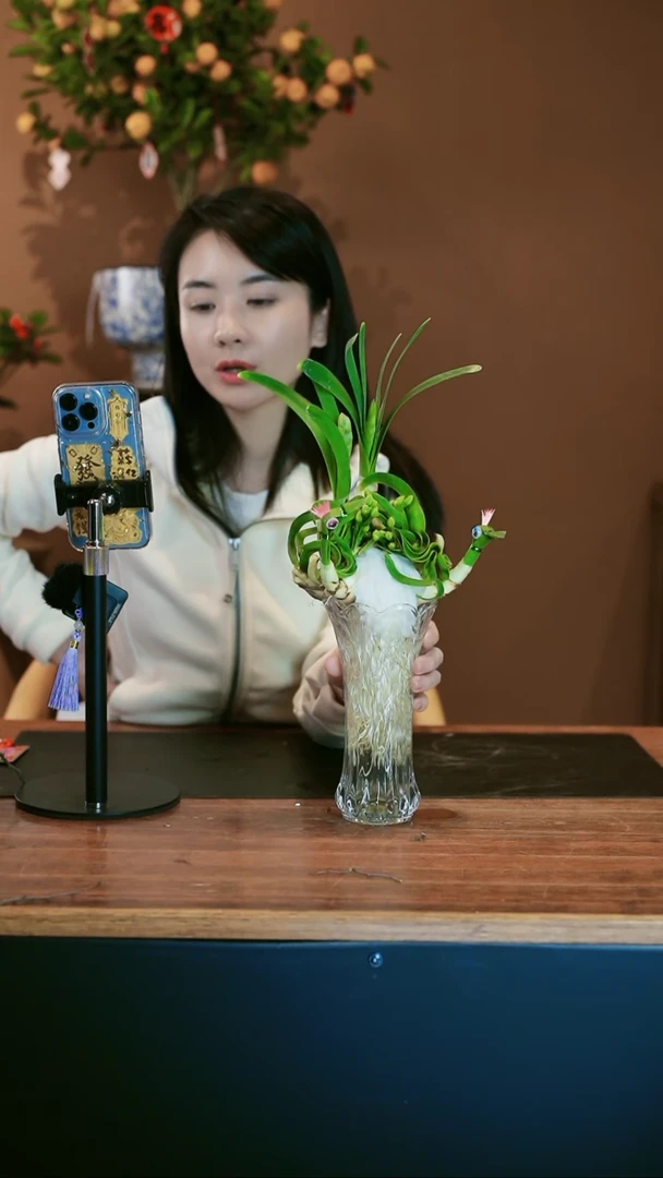 【闪购商品】盆景雕刻水仙