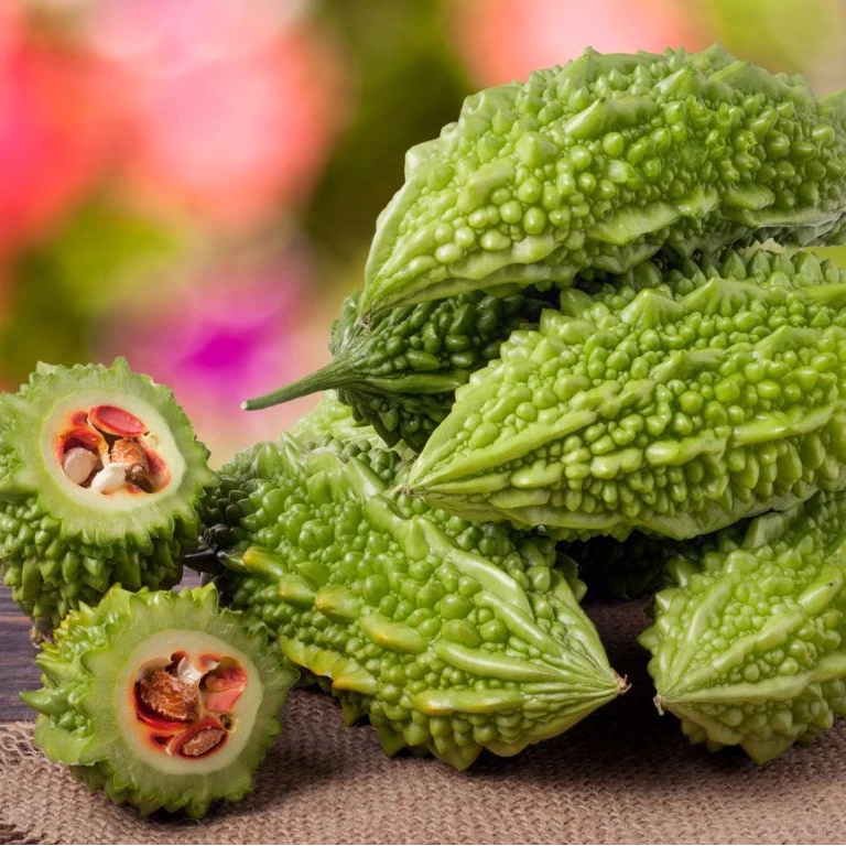 苦瓜200-240g 蔬菜