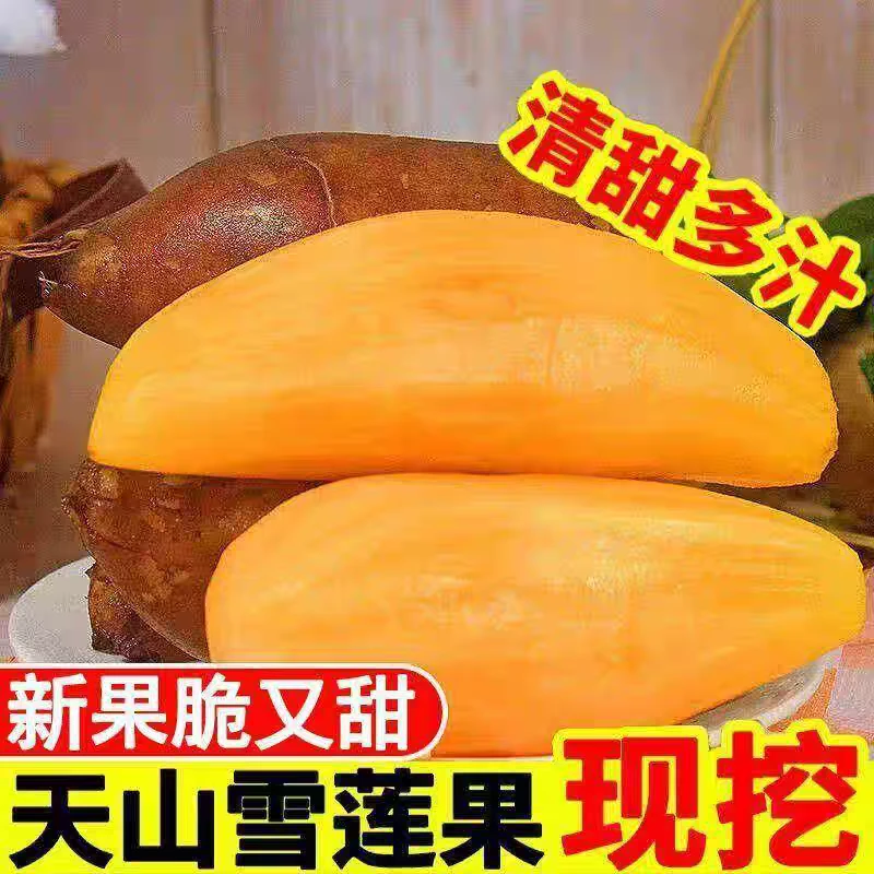 云南天山雪莲果现挖现发应季水果黄心脆甜多汁水果净重5斤