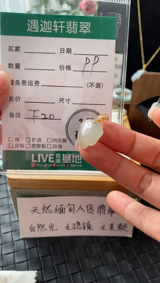 颈饰银S925镶嵌翡翠FF20