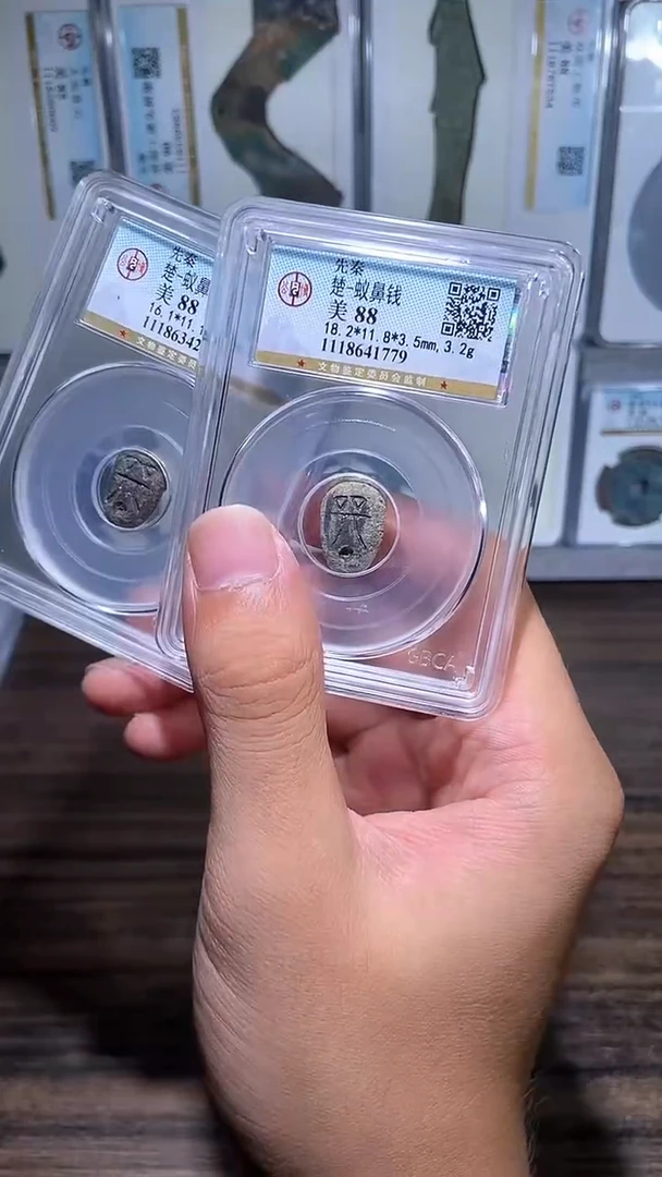 铜历代 蚁鼻蚁鼻一枚