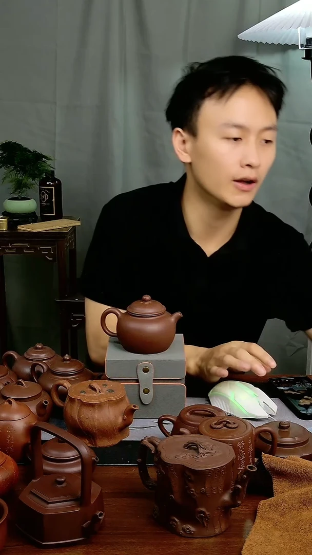 茶壶紫砂宜兴原矿紫砂作品599
