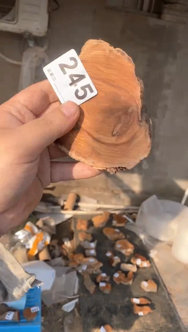 【闪购商品】柏木太行陈化崖柏（津诚林）切片