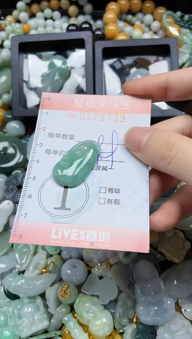 翡翠未镶嵌颈饰闪购0178739