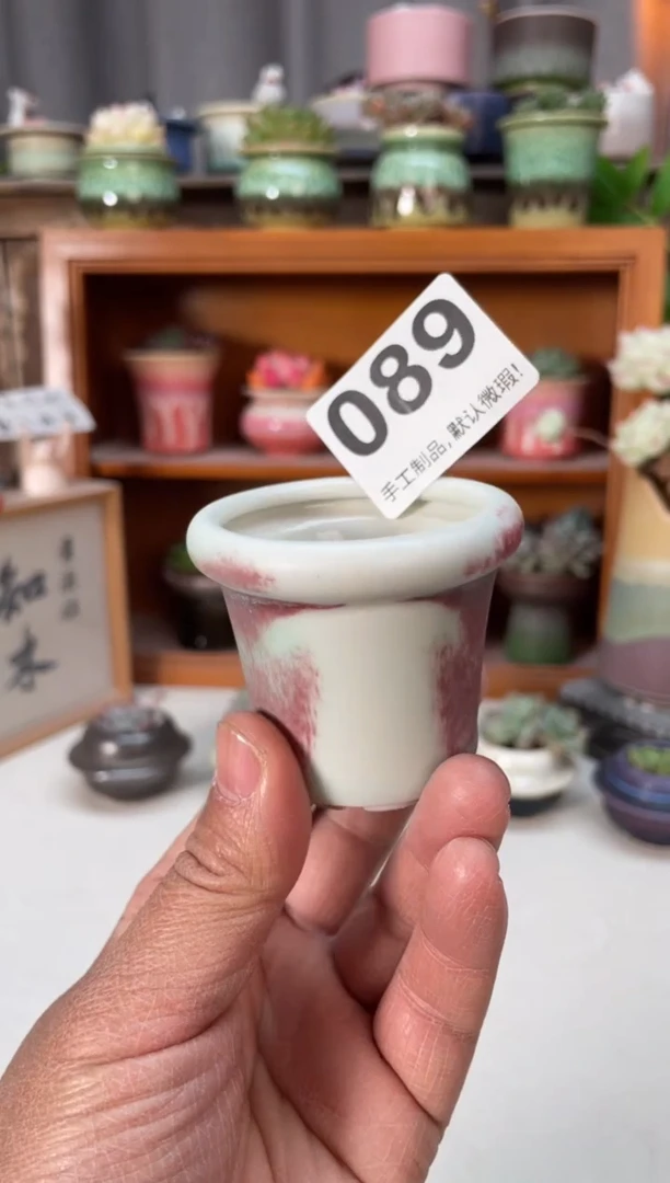 瓷片089小芳直播编号