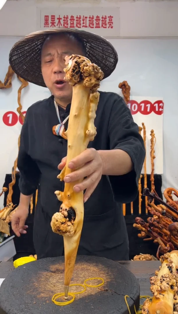 黑果木其他黑果木315