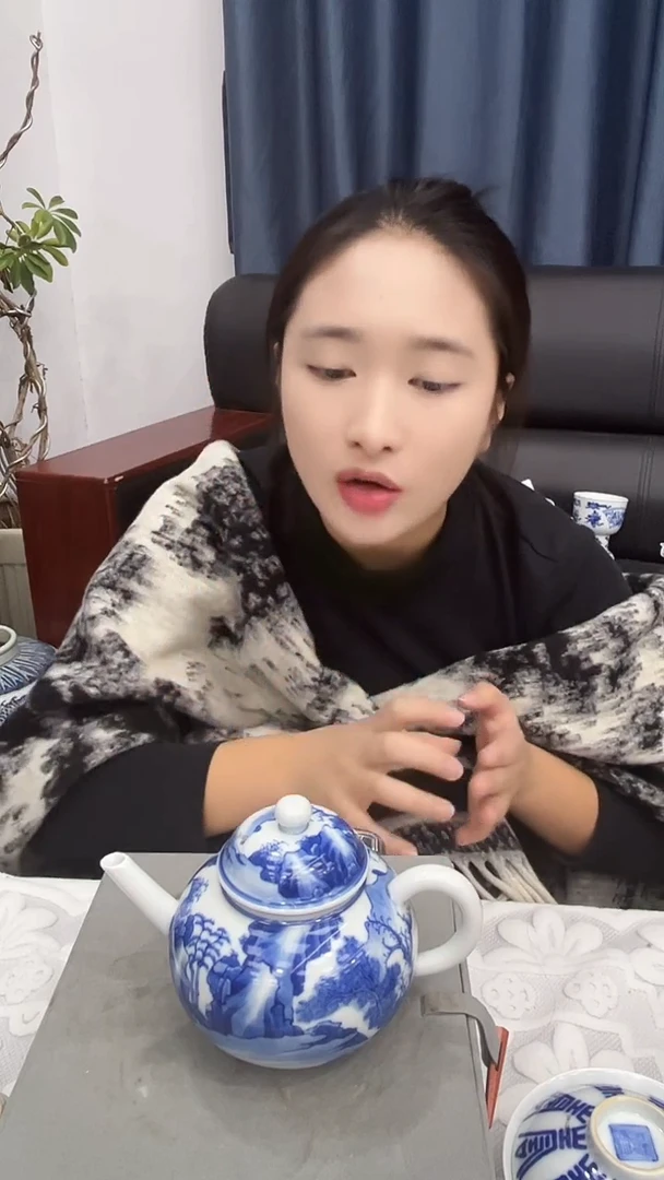 【闪购商品】瓷片景德镇陶瓷陶瓷陶瓷