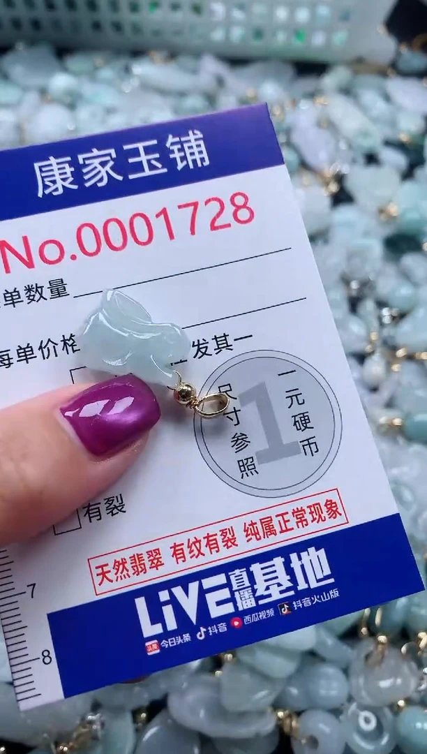 颈饰未镶嵌翡翠1728
