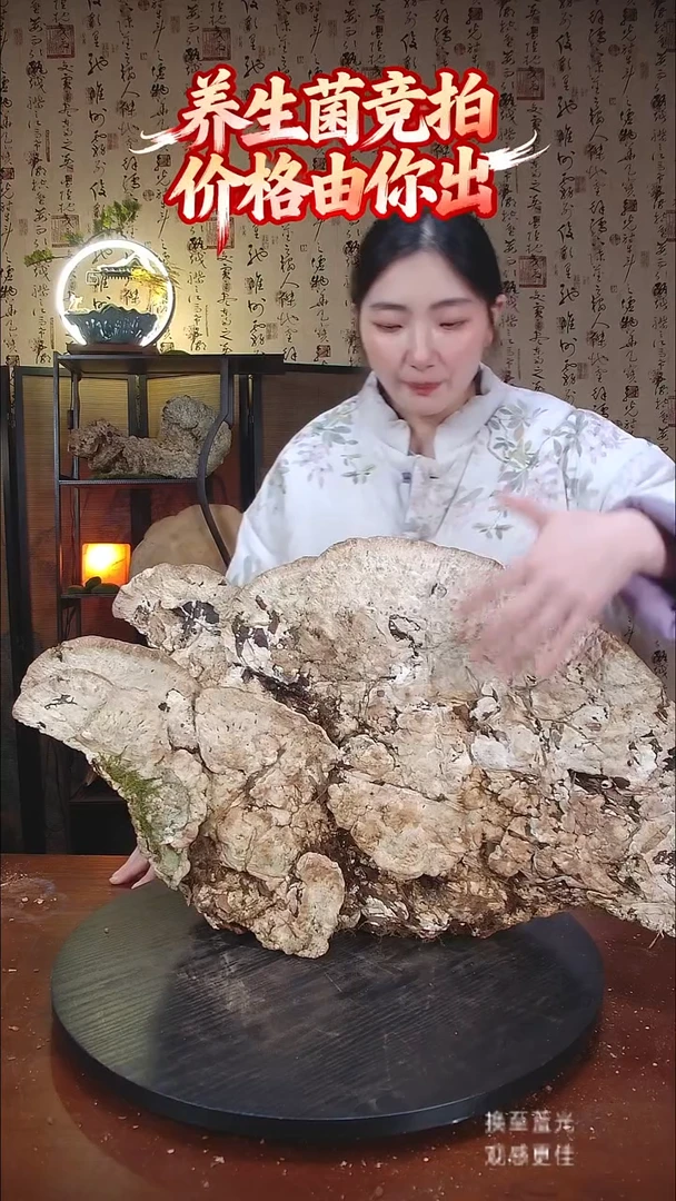 白灵芝中国大陆【藏区野生】纯白灵芝（11.72斤）120-130年份