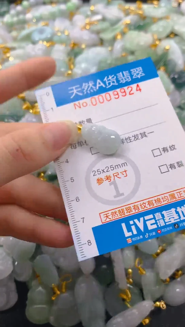 颈饰未镶嵌翡翠净货挂件-9924