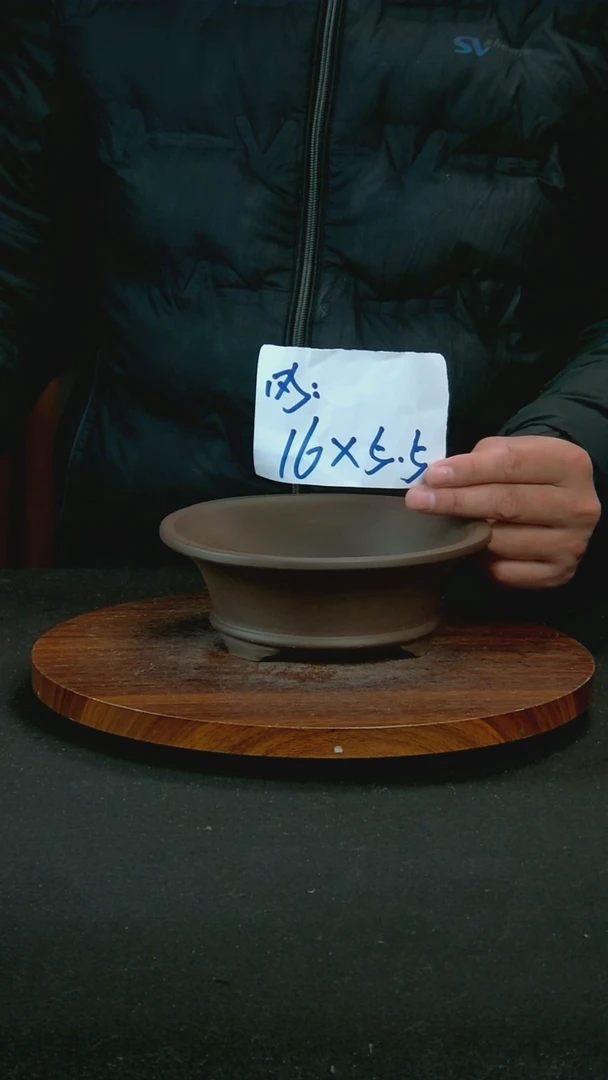 【闪购商品】紫砂R27