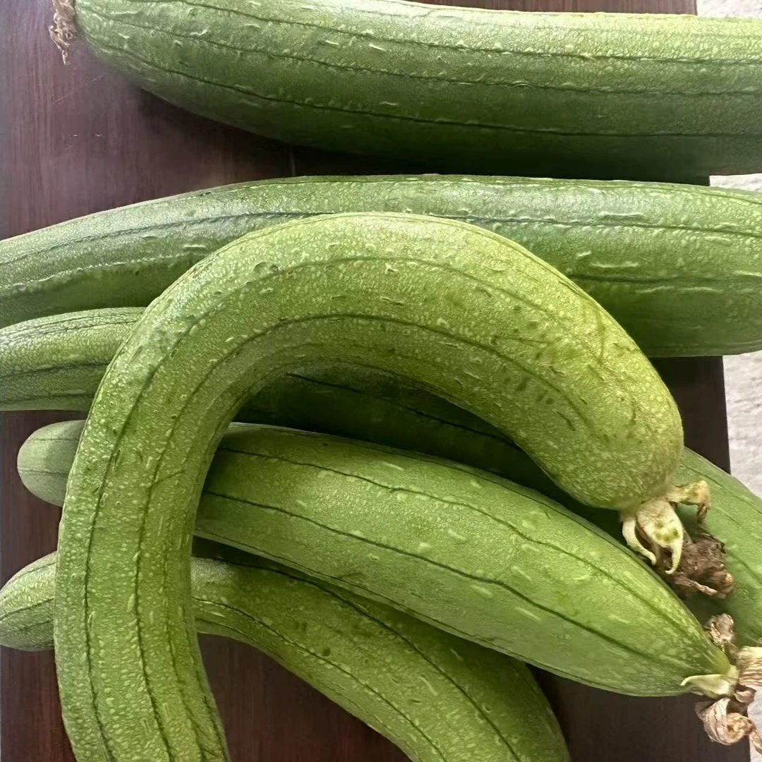 新鲜现摘弯丝瓜短棒丝瓜清甜可口农家蔬菜