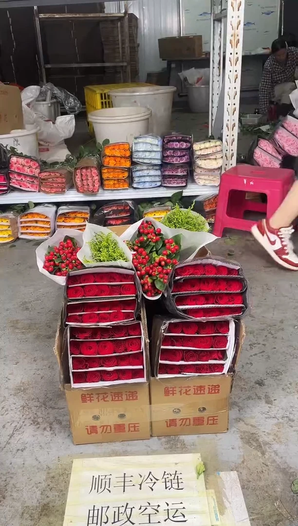 高原红40枝+红豆+黄莺