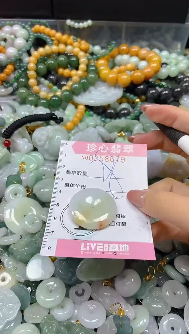 翡翠未镶嵌颈饰闪购0258679
