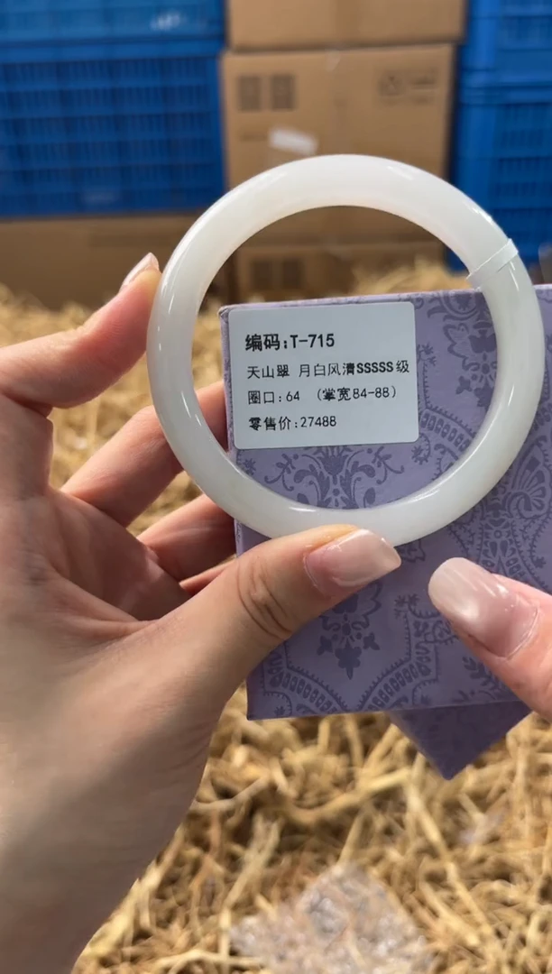 未镶嵌手镯石英质玉T-715