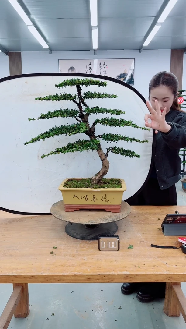 无花朵0000000000000