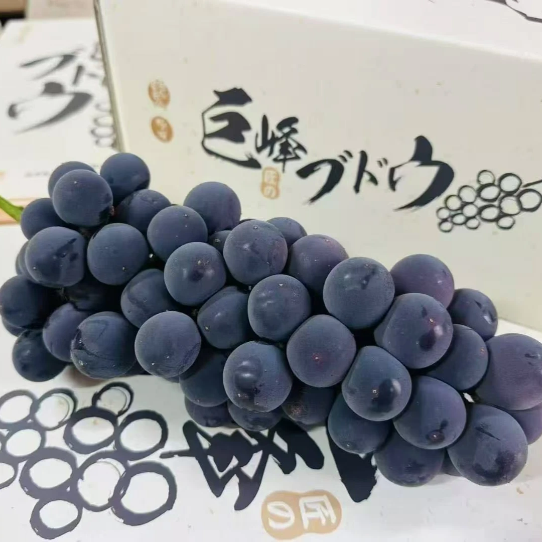 【蓝鲸小掌柜】蜜入黑糖巨峰葡萄，有籽无籽都存在一份1.4-4.5斤左右