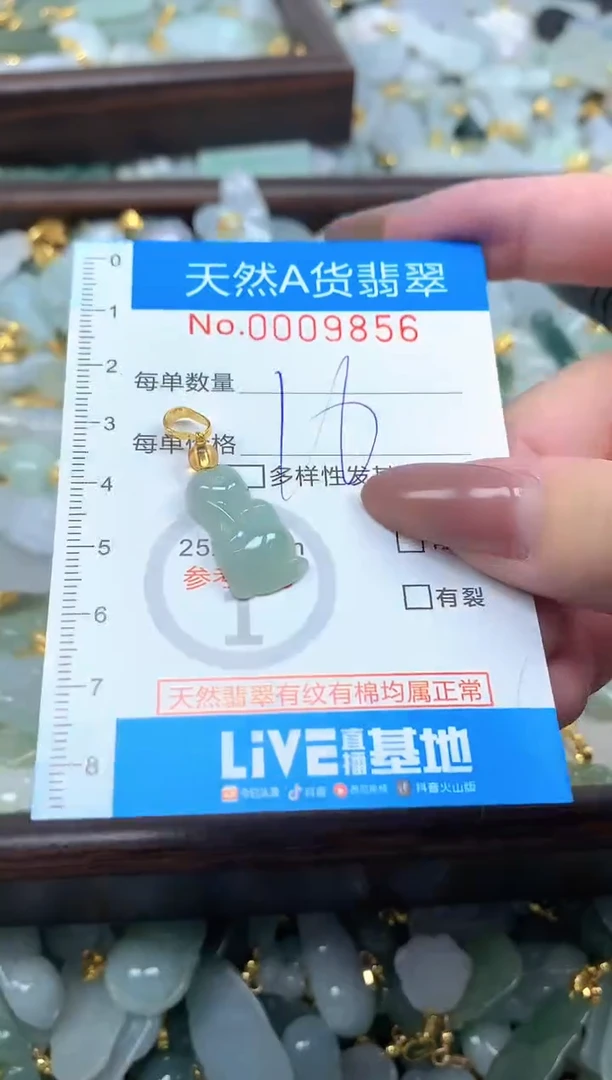 颈饰未镶嵌翡翠净货挂件-9856