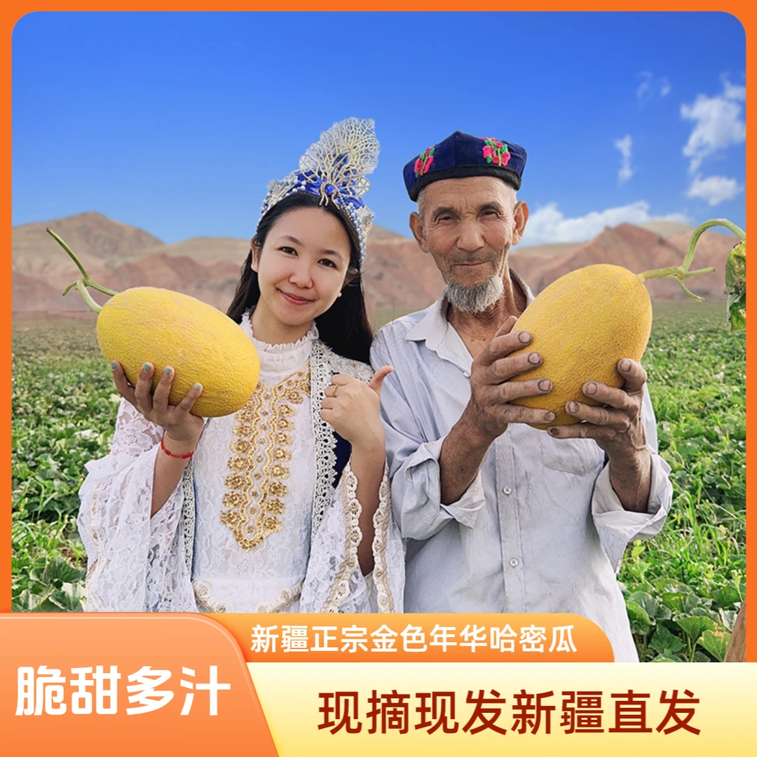 爷爷的哈密瓜正宗头茬新疆吐鲁番火焰山金色年华哈密瓜脆甜多汁