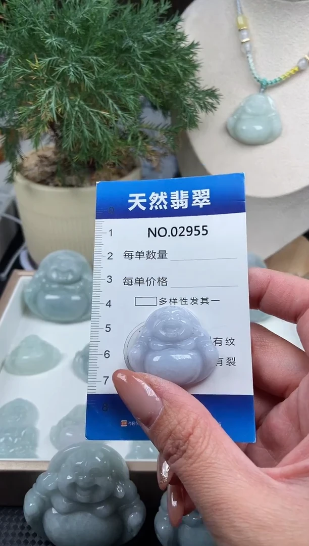 颈饰未镶嵌翡翠纯天然A货缅翡2955