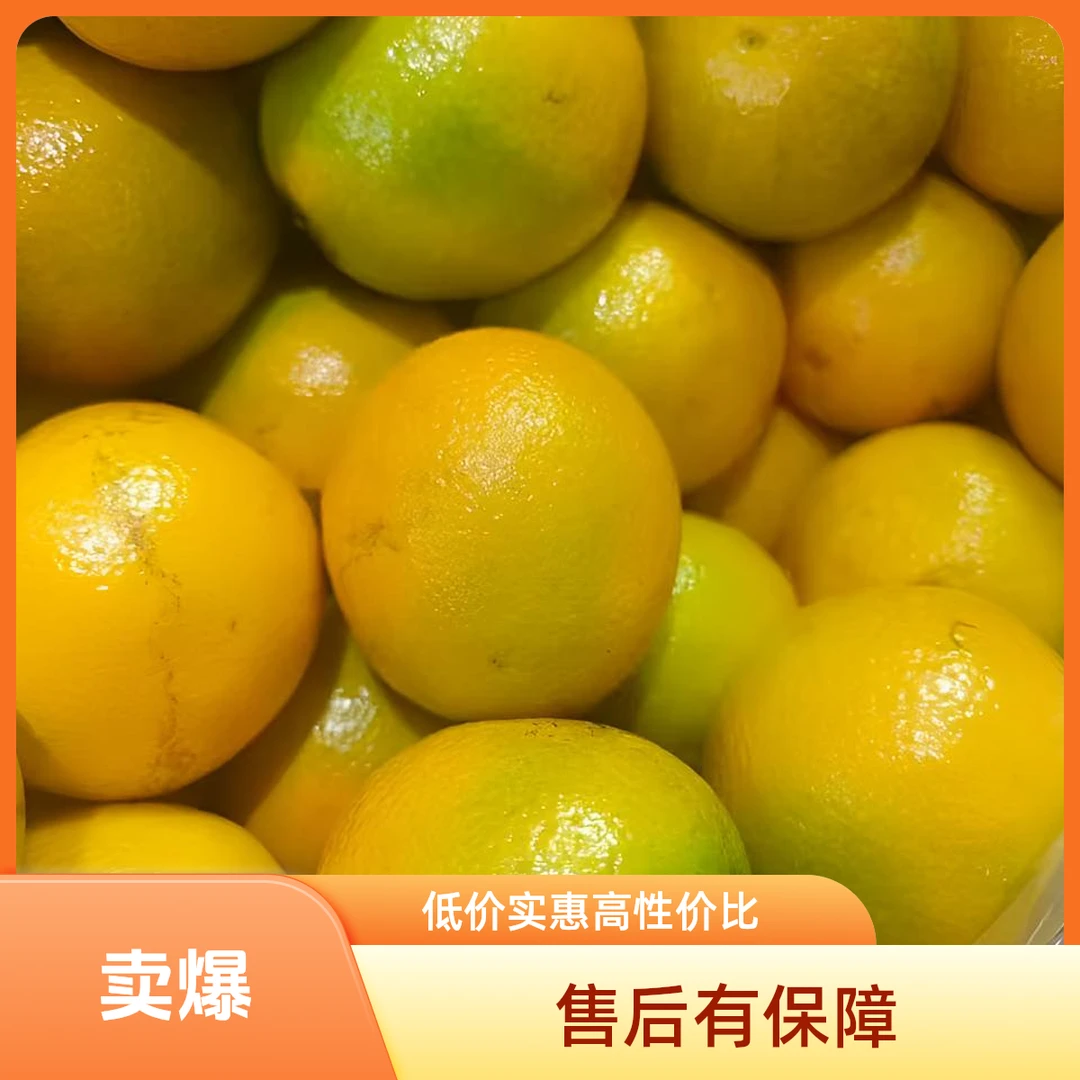 晨路果蔬 云南冰糖橙云南省