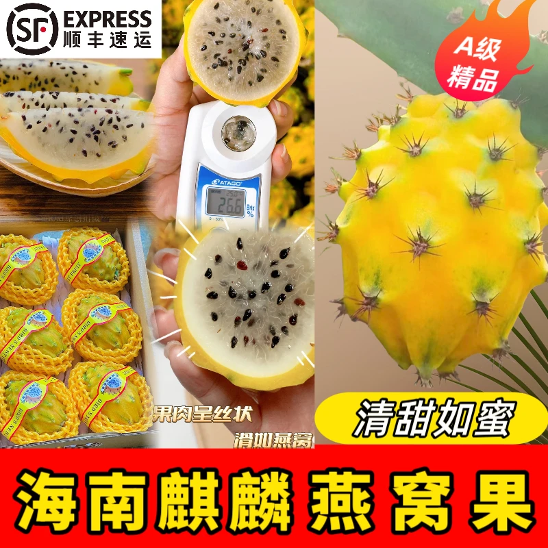 【顺丰包邮】海南燕窝果麒麟果 新鲜现摘 香甜多汁果肉细腻送礼佳品