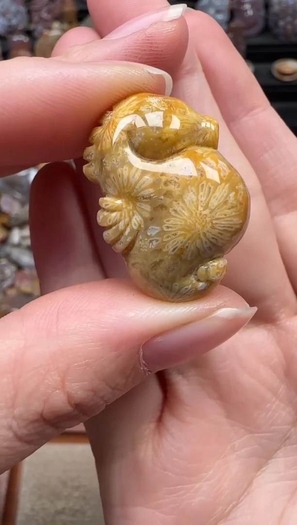 颈饰未镶嵌硅化珊瑚（珊瑚玉）849