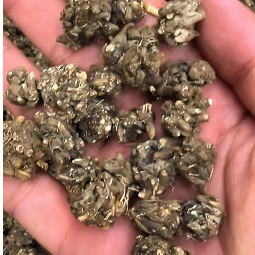 云南当季新猫爪草无硫自然晾晒爪爪分明1