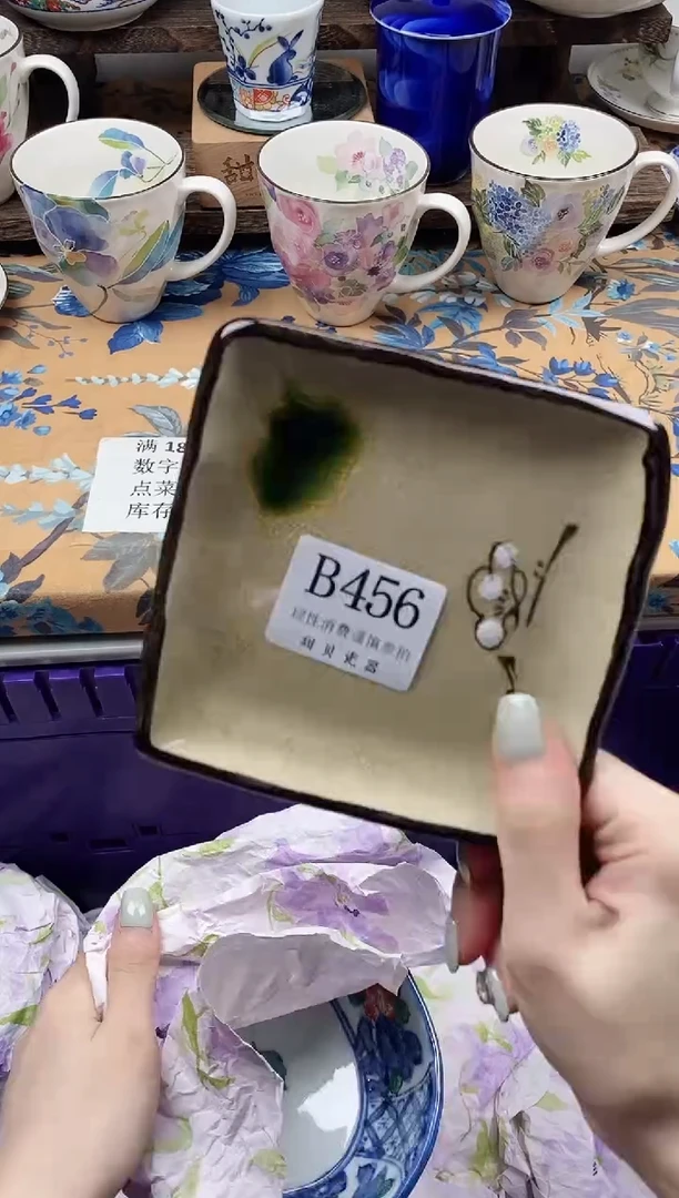 瓷片z****6                B456