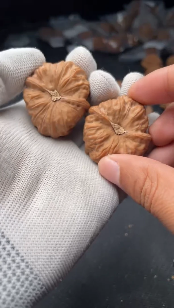 核桃a160  门头沟元宝 40尺 龟背