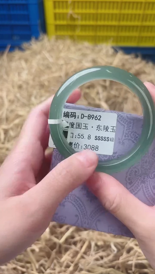 未镶嵌手镯石英质玉D-8962